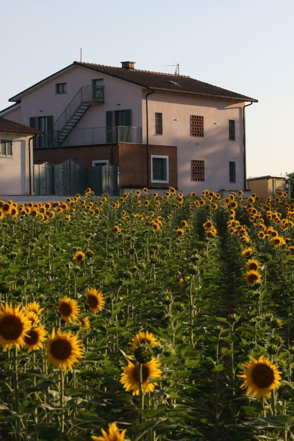 La Collina Del Girasole Villa Montecastrilli Luaran gambar